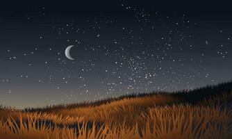 noche paisaje en pradera con Luna y estrellas vector