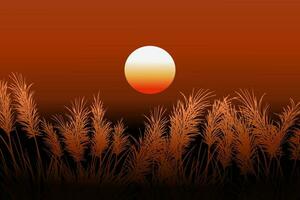 Sunset sky background with grass vector