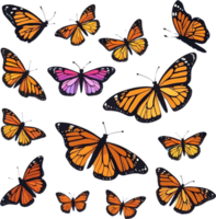 AI generated breed of butterfly animal cartoon illustration png