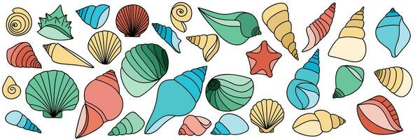Big collection of hand drawn doodle shells. Outline shells set with color. Hand drawn vector art