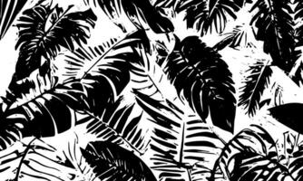 Grunge detailed black abstract texture. Tropical leaves.  Vector background