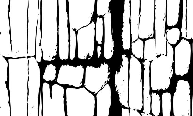 Grunge detailed black abstract texture. Vector background