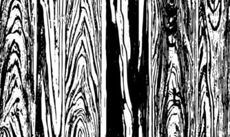 wood grain texture vector