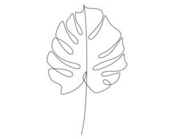 One continuous line drawing of monstera leaf isolated on white background. vector