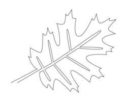 Single continuous line drawing of oak leaf. Vector illustration. EPS10