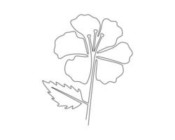 Continuous one line drawing of hibiscus flower. Vector illustration