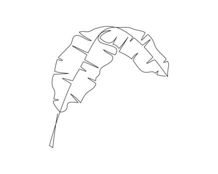 Continuous one simple single abstract line drawing of tropical leaf icon in silhouette on a white background vector