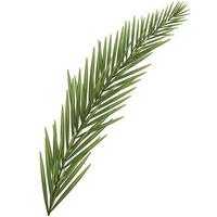Spruce twig in realistic style isolated on white background vector