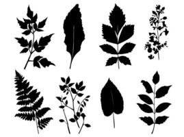 Set of black silhouettes of leaves and flowers. Vector illustration.