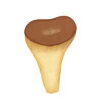 une marron champignon png