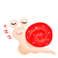 Snail couple snail, png