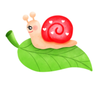 Snail couple snail, png