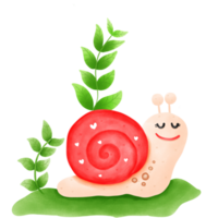 Snail couple snail, png