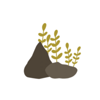 Stones and Grasses png