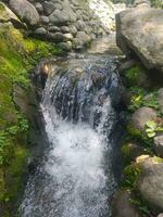 corrientes de agua chorrito abajo el rocas foto