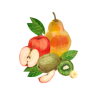 Watercolor illustration. Composition of fruits. yellow pear, red apple, kiwi, fruit slices, green leaves of garden trees. All elements are hand-painted in watercolor on a transparent background png