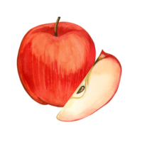 acuarela composición. un todo rojo manzana y un manzana rebanada con semillas, pintado a mano con acuarelas adecuado para impresión en tela y papel, para decorando cocina utensilios, platos, textiles png