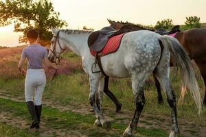 Two woman and two horses outdoor in summer happy sunset together nature photo