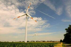 turbinas de viento en un campo foto