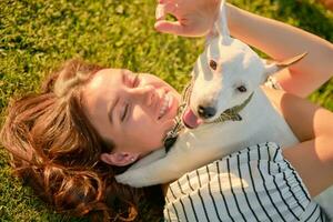 Dog Parson Russell Terrier breed is playing in green park with his owner. Summer time or beginning of autumn. Nature. Pet care and training concept. photo