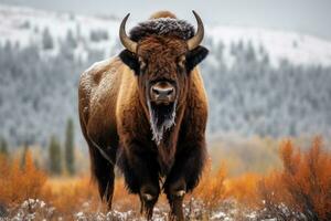 AI generated Bison in Yellowstone National Park, Wyoming, United States of America, American bison, AI Generated photo