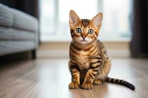 ai generado linda Bengala gatito sentado en el piso a hogar, un linda pequeño Bengala gatito sentado en el piso a hogar, ai generado foto