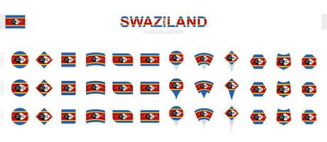 Large collection of Swaziland flags of various shapes and effects. vector