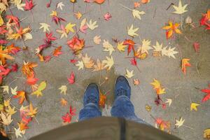 pov of men walking on autumn leaves in forest photo