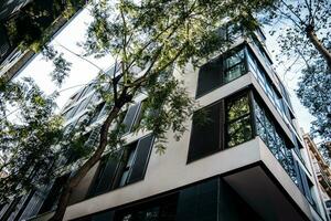 Modern apartment building with big windows, Barcelona. Green tree branches with leaves for reducing heat. photo
