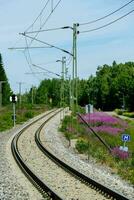 a train track with purple flowers and power lines photo