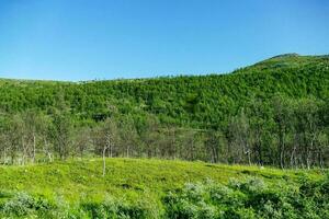 un verde colina paisaje foto