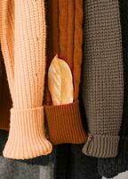 Color of the year 2024, Peach Fuzz. different colorful Knitted sweaters hang on hangers photo