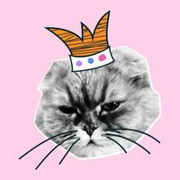 Retro collage with cat heads with halftone effect. Funny kitten with emotions, doodle elements. Vector grunge punk crazy art templates.