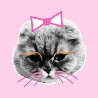 Retro collage with cat heads with halftone effect. Funny kitten with emotions, doodle elements. Vector grunge punk crazy art templates.