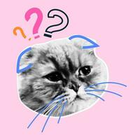 Retro collage with cat heads with halftone effect. Funny kitten with emotions, doodle elements. Vector grunge punk crazy art templates.