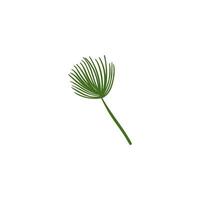 background of flora and palm leaves vector