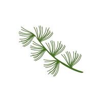 background of flora and palm leaves vector