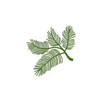 background of flora and palm leaves vector