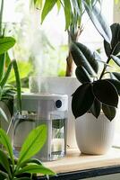 Modern air humidifier on table in living room full of plants. Space for text photo