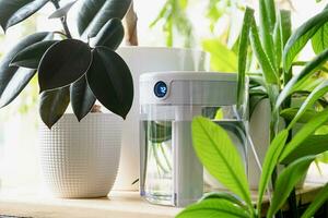 Modern air humidifier on table in living room full of plants. Space for text photo