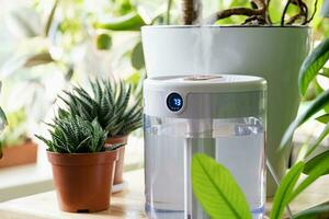 Modern air humidifier on table in living room full of plants. Space for text photo