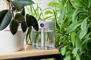 Modern air humidifier on table in living room full of plants. Space for text photo