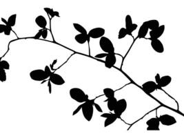 Plant silhouettes as vector images