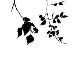 planta siluetas como vector imágenes