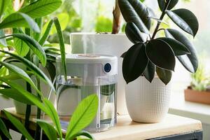 moderno aire humidificador en mesa en vivo habitación lleno de plantas. espacio para texto foto