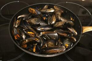 Cocinando mejillones en un cacerola. mejillones son Perfecto en interminable pescado recetas, pero el mas simple y más tradicional en Galicia son al vapor mejillones. foto