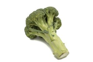 crudo brócoli aislado en blanco antecedentes. sus fibra contenido es abundante y contribuye significativamente a teniendo un mejor gastrointestinal tránsito. foto