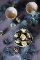 quail eggs in ceramic vases, gray feathers on the table, Easter still life with dietary eggs, diet and antioxidant photo