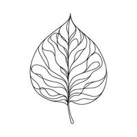 aesthetic decorative line art illustration of leaf, floral vector