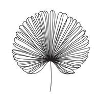aesthetic decorative line art illustration of leaf, floral vector